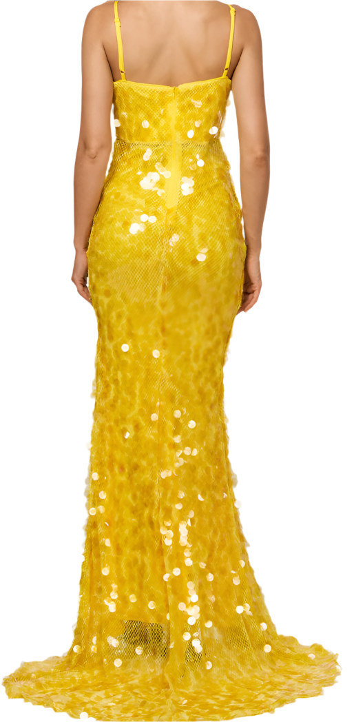 Trish Dinner Dress